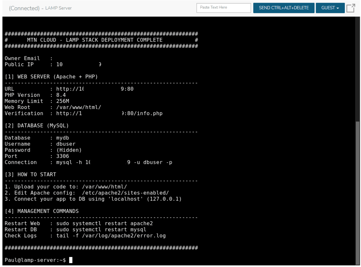 Console view showing server details and management commands.