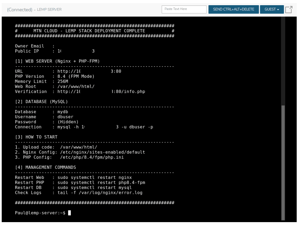 Console view showing server details and management commands.