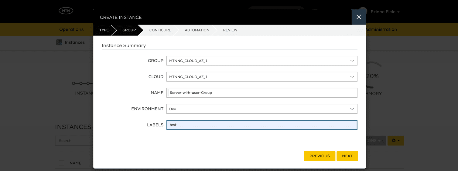 Instance Summary form with Group, Cloud, Name, Environment, and Labels fields
