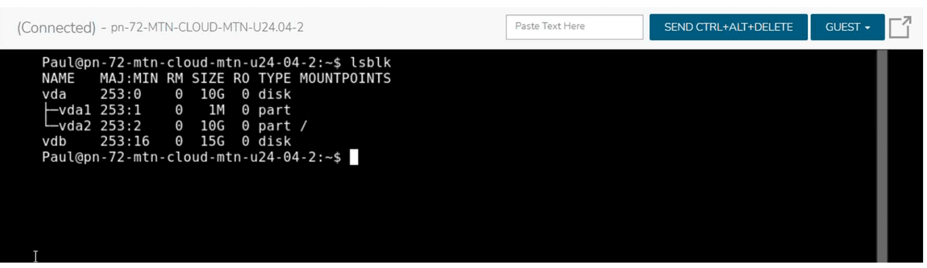 lsblk Output