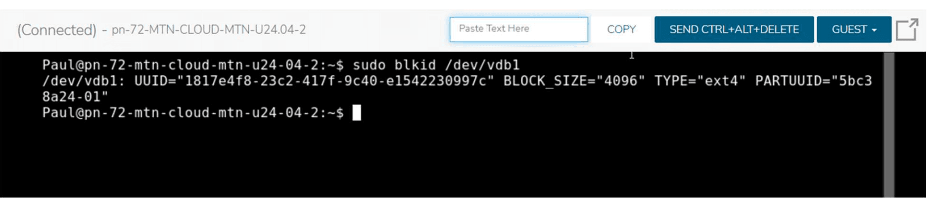blkid output